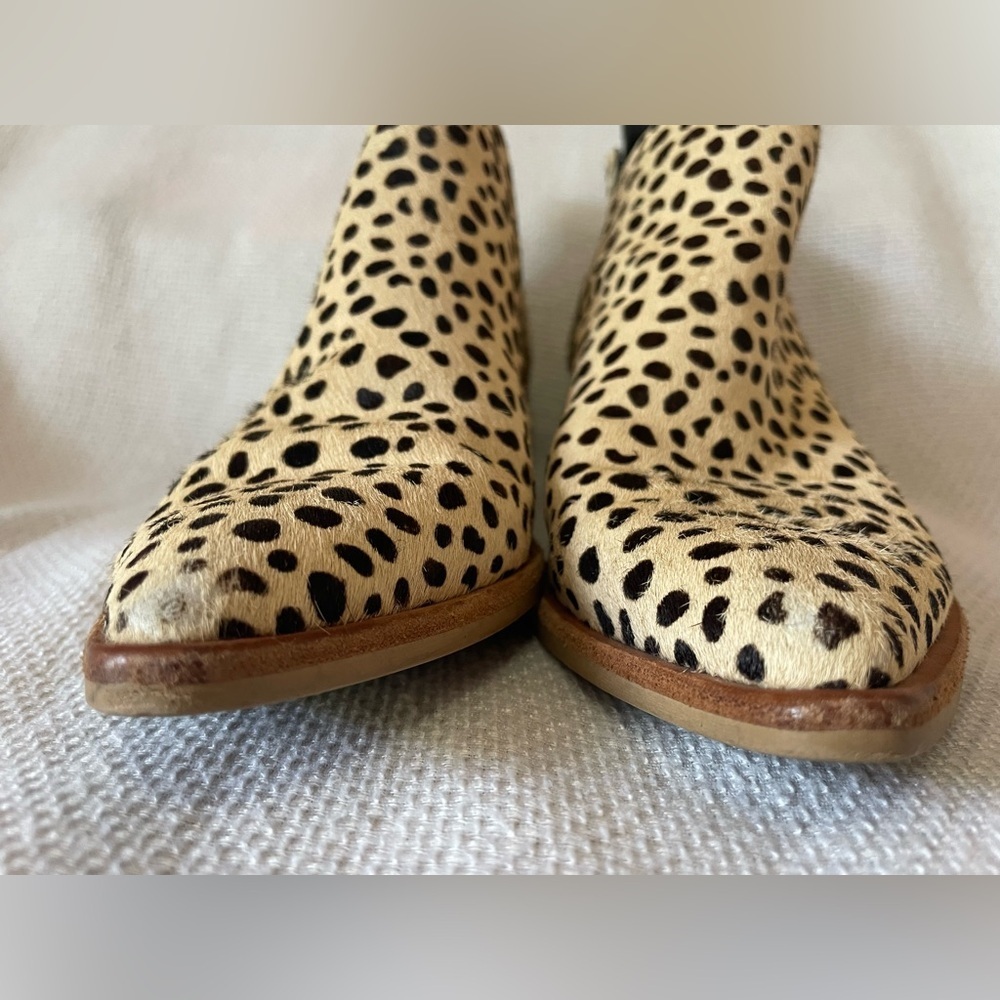Dolce Vita Sonni Pointe bootie - Picture 8 of 12